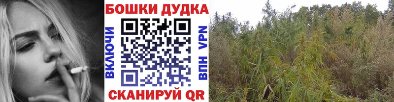 Где найти наркотики Отрадный АМФЕТАМИН Меф мяу мяу ГАШИШ Героин A-PVP Конопля