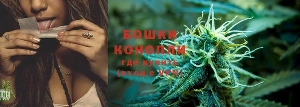 молекула духа Дмитровск