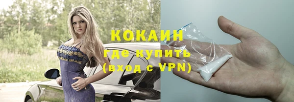 соль ск Дмитриев