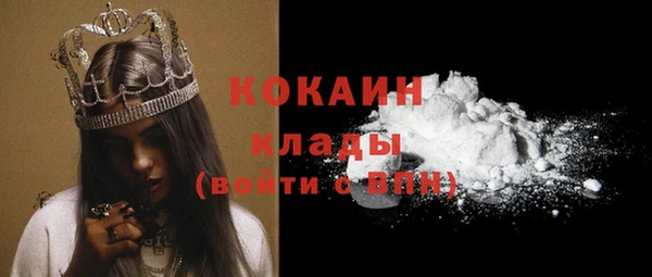 молекула духа Дмитровск