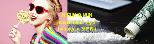 соль ск Дмитриев