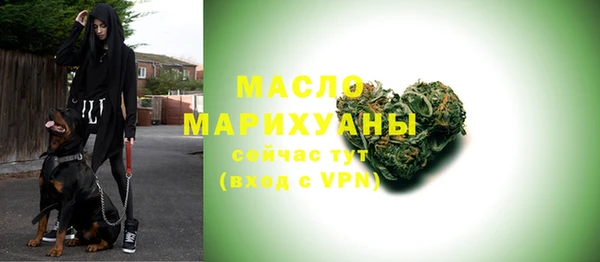 соль ск Дмитриев