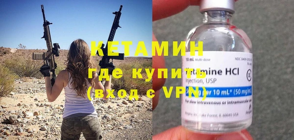 соль ск Дмитриев