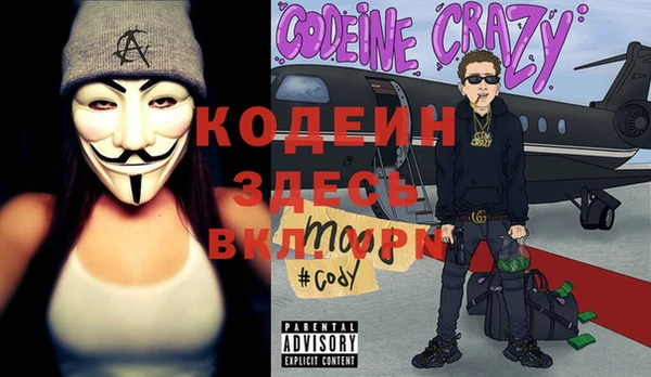 шишки Дмитров