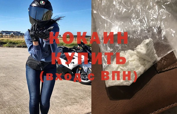 соль ск Дмитриев