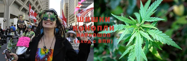 шишки Дмитров