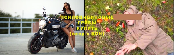 шишки Дмитров