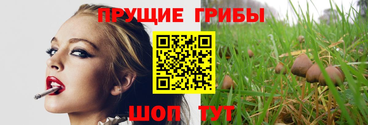 Псилоцибиновые грибы ЛСД Отрадный