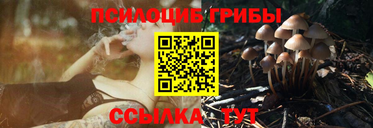 Отрадный  купить наркоту  Вход с VPN  Галлюциногенные грибы мухоморы  Псилоцибиновые грибы прущие грибы 