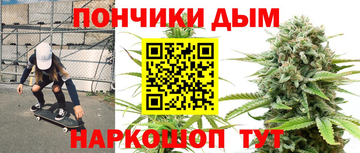 Конопля план Отрадный